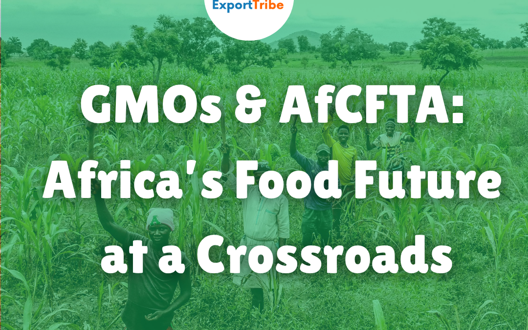 AfCFTA, GMOs, and Africa’s Future — Why We Must Get This Right